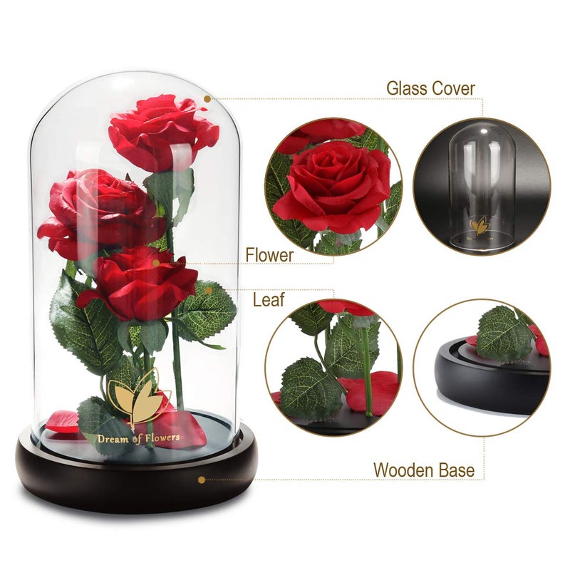 Dream of Flowers Beauty and The Beast Rose, Classic Red Rose with LED Lights and Falling Petals, Gifts for Women, Birthday Gifts for Women, Light Up Rose in Glass Dome, Valentine's Day Gifts for her - Image 2